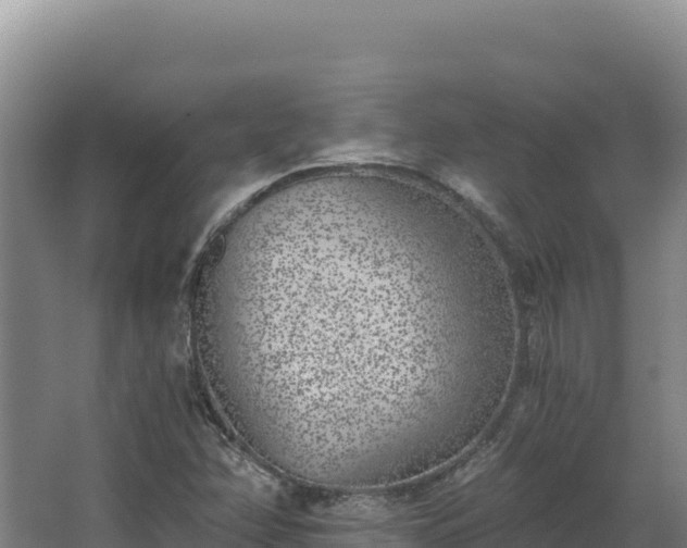 X0000068301358200604281659