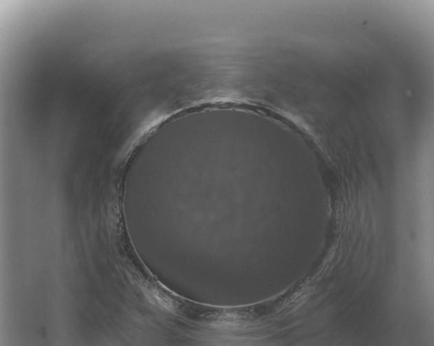 X0000068301359200604281658