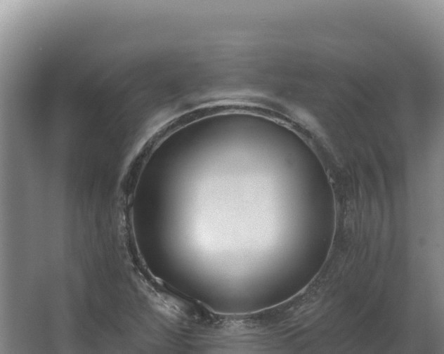 X0000068301360200604281658