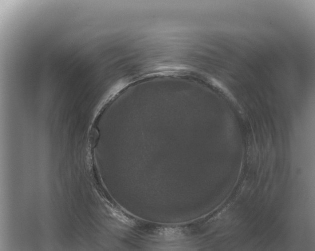 X0000068301362200604281658