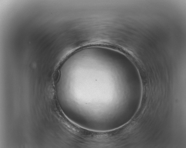 X0000068301363200604281658