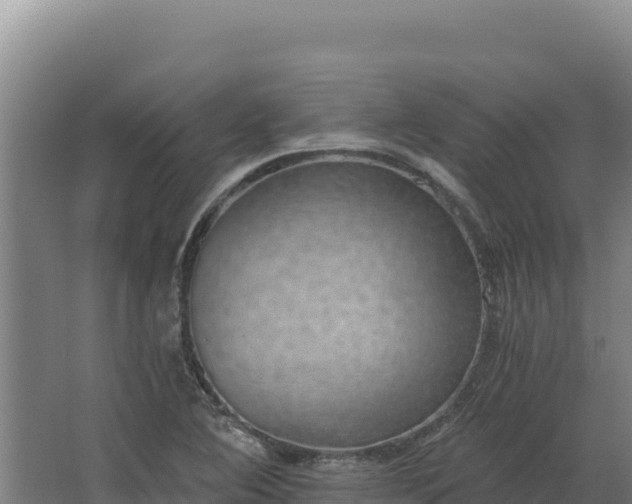 X0000068301364200604281658