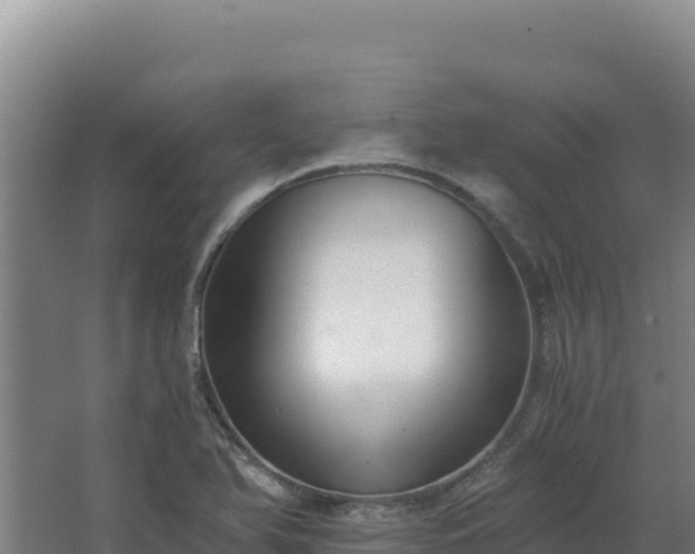 X0000068301366200604281658