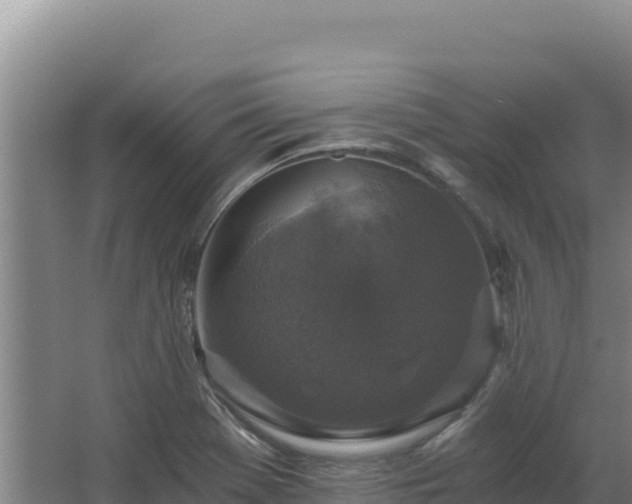 X0000068301369200604281658