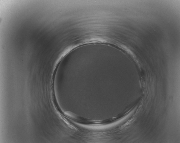 X0000068301373200604281658