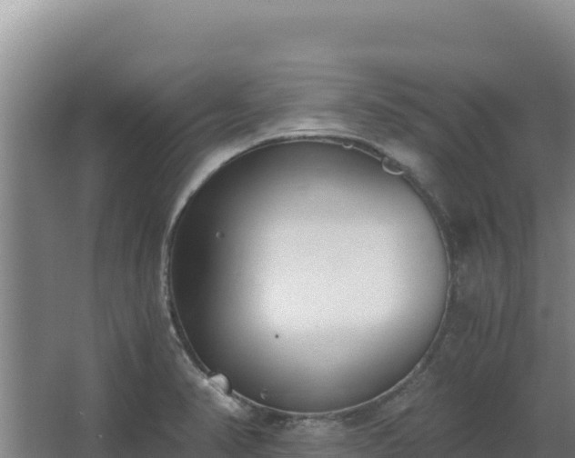 X0000068301374200604281658