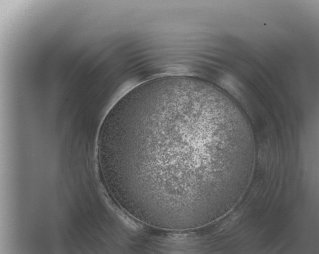 X0000068301378200604281658