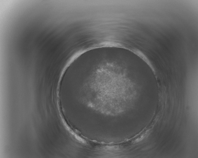 X0000068301381200604281658