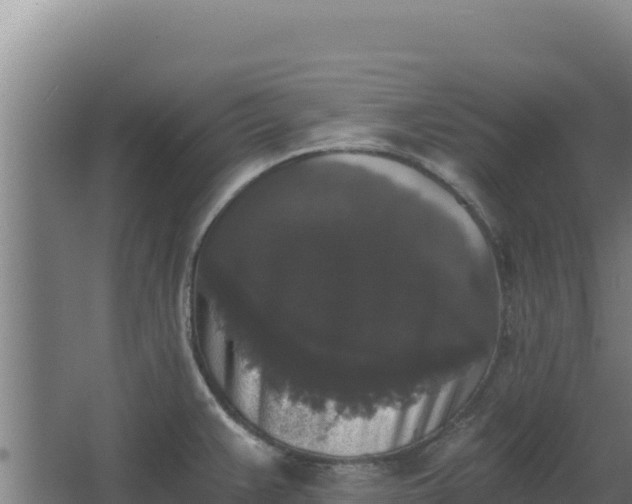 X0000068301383200604281658