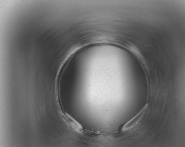 X0000068301384200604281658