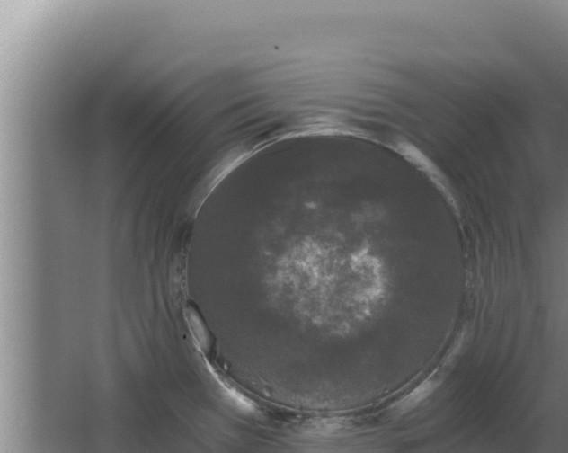 X0000068301385200604281658