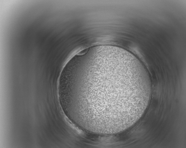 X0000068301386200604281658