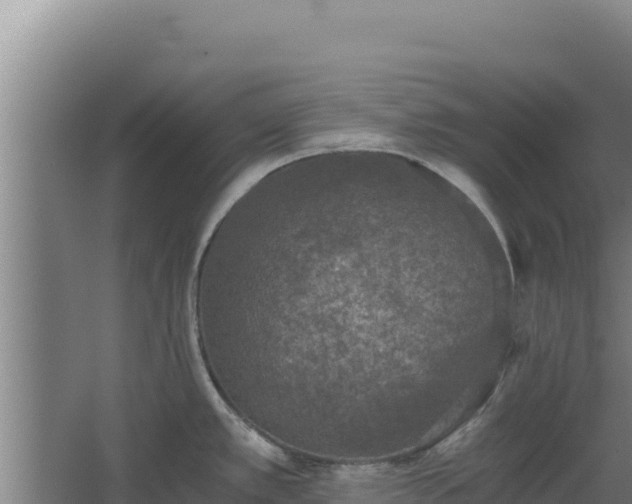 X0000068301389200604281658