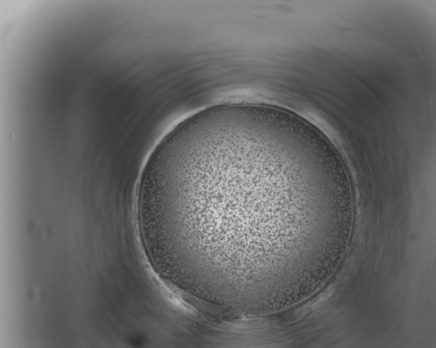 X0000068301392200604281658