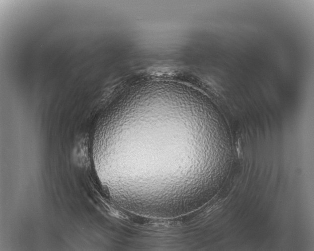 X0000068301396200604281657