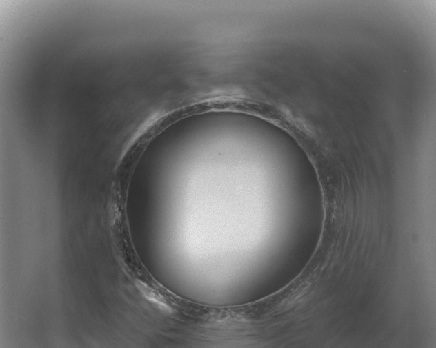 X0000068301400200604281657