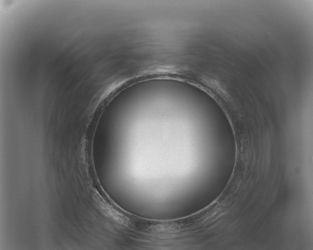 X0000068301404200604281657