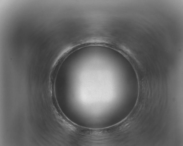 X0000068301408200604281657