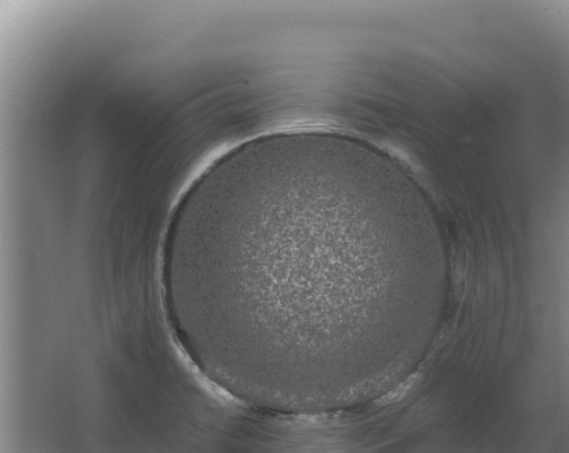 X0000068301422200604281658