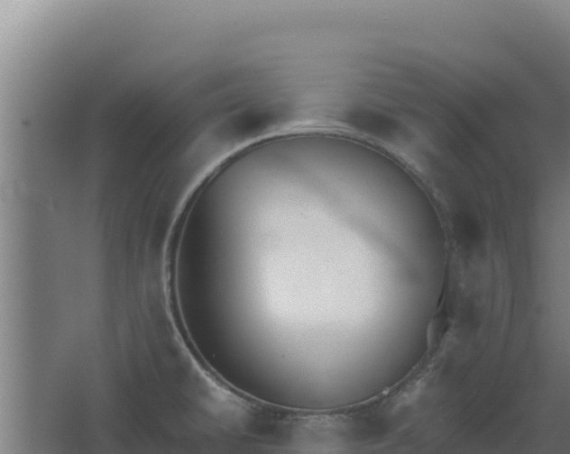 X0000068301430200604281658