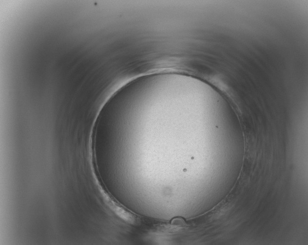 X0000068301431200604281658