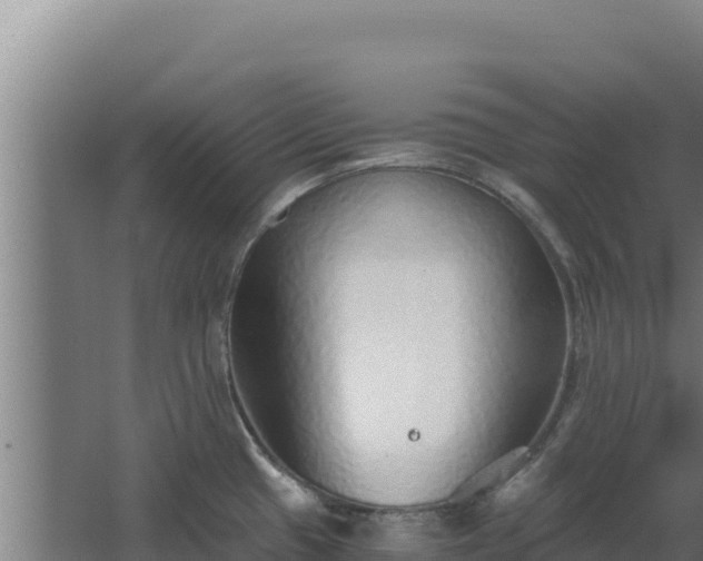 X0000068301433200604281658