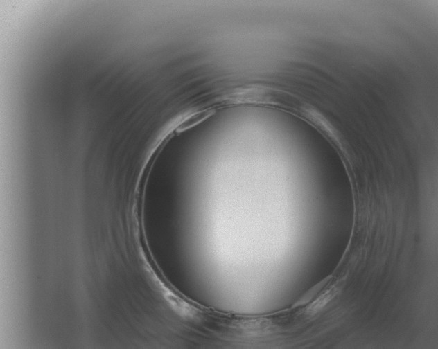 X0000068301434200604281658