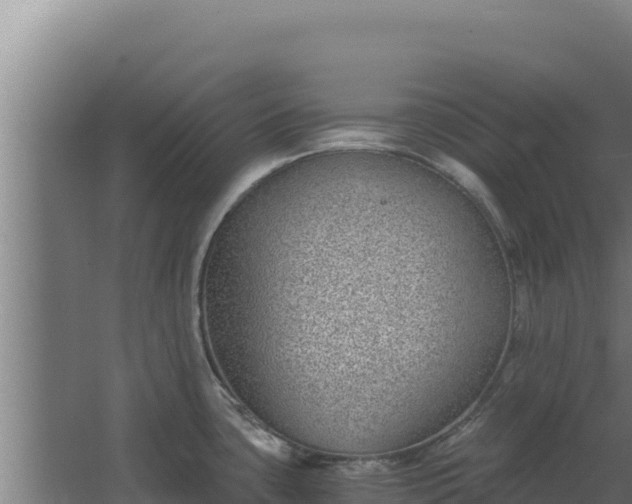 X0000068301435200604281658