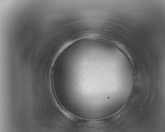 X0000068301437200604281658