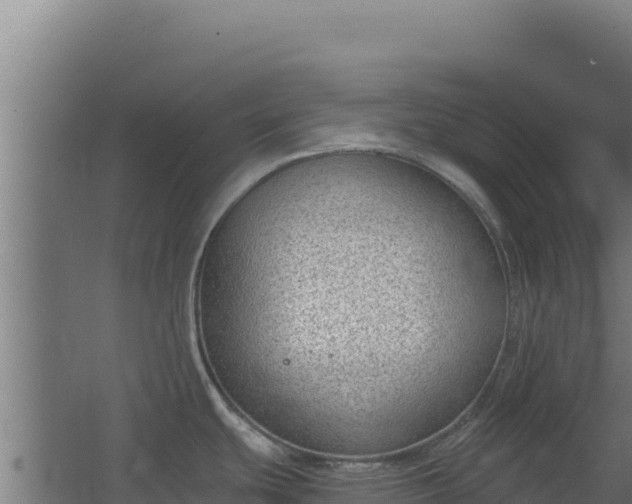 X0000068301439200604281658