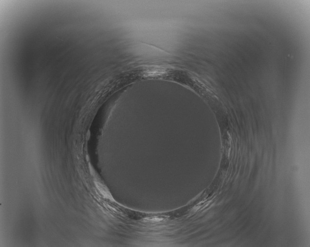 X0000068301441200604281657