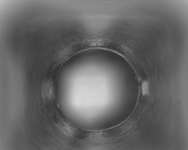 X0000068301444200604281657