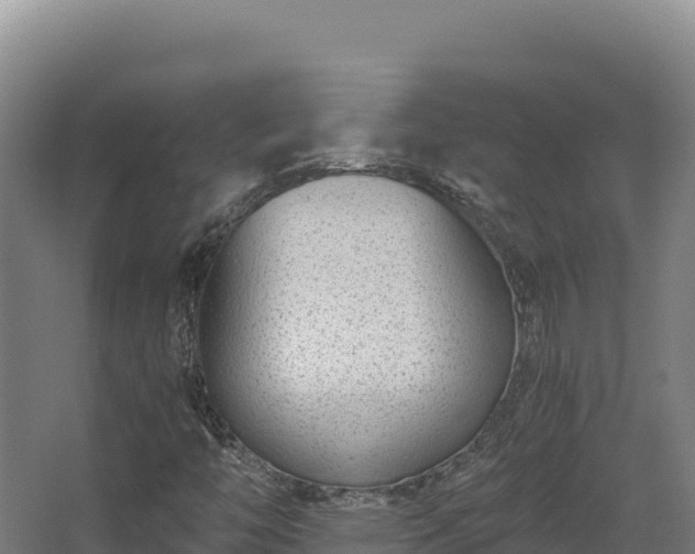 X0000068301446200604281657