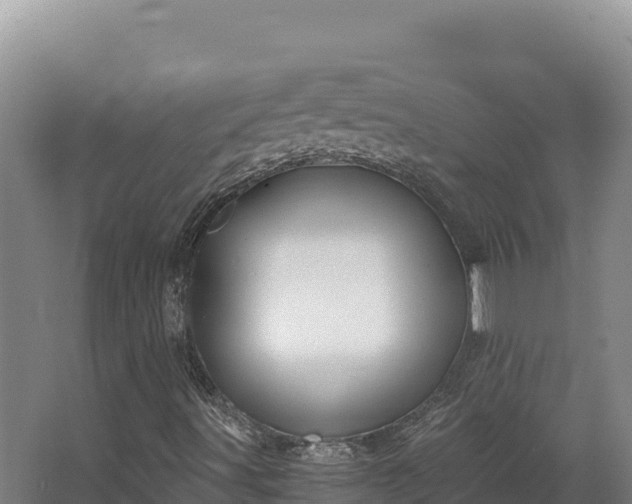 X0000068301491200604281656