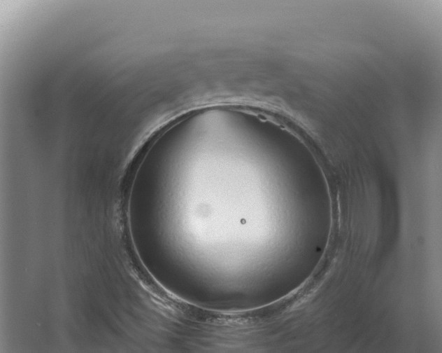 X0000068301501200604281656