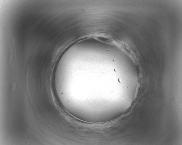 X0000068300001200605051945