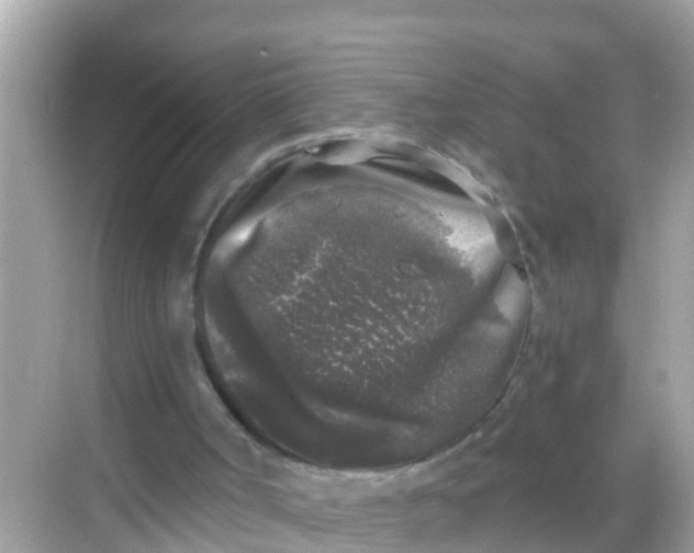 X0000068300002200605051945