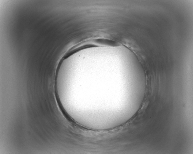 X0000068300003200605051945