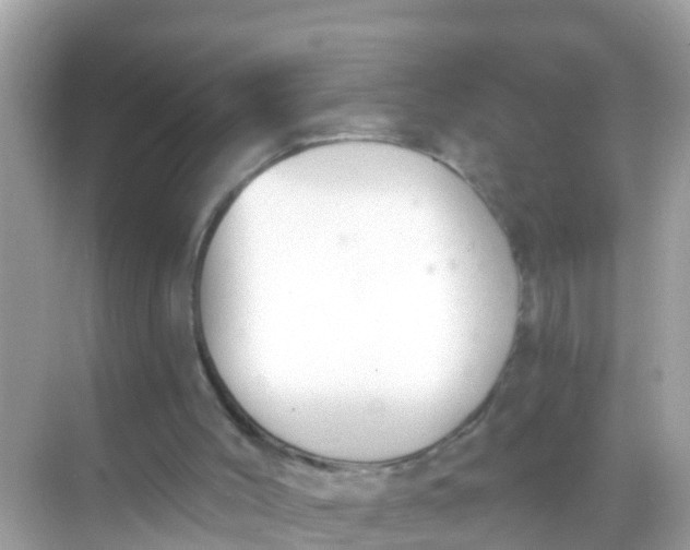 X0000068300004200605051945