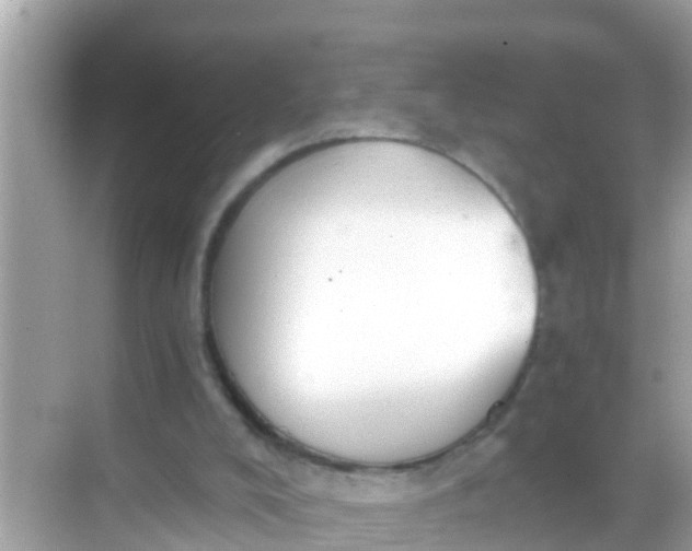 X0000068300008200605051945