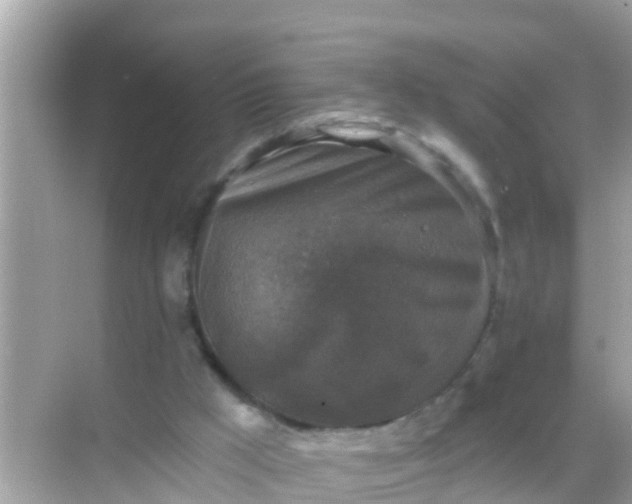 X0000068300009200605051945