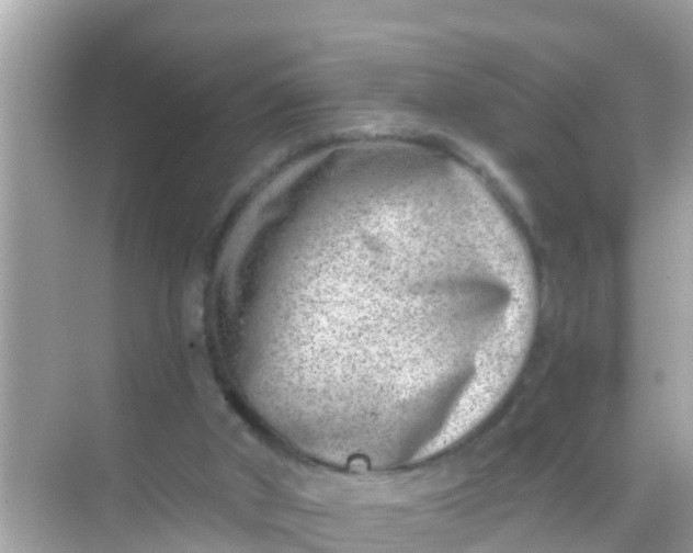 X0000068300010200605051945