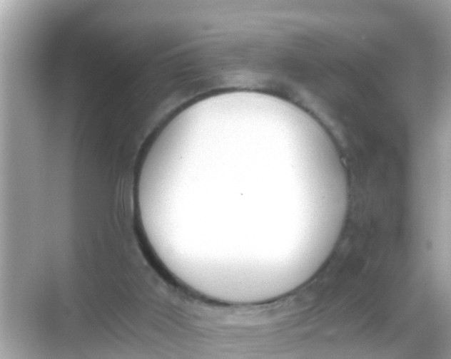 X0000068300011200605051945