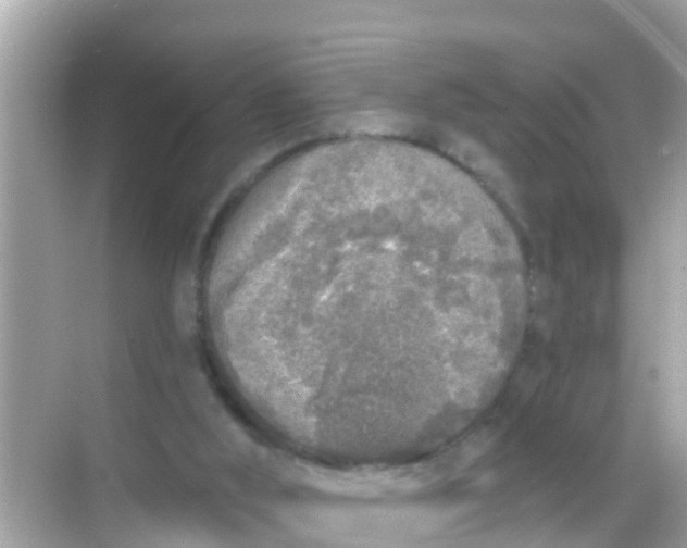 X0000068300012200605051945