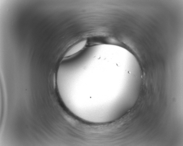 X0000068300013200605051945