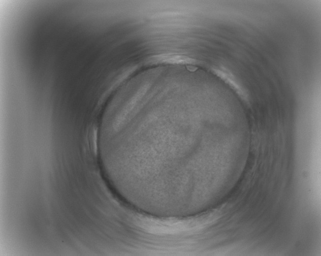 X0000068300014200605051945