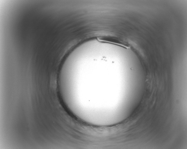 X0000068300015200605051945