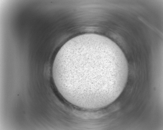 X0000068300016200605051945