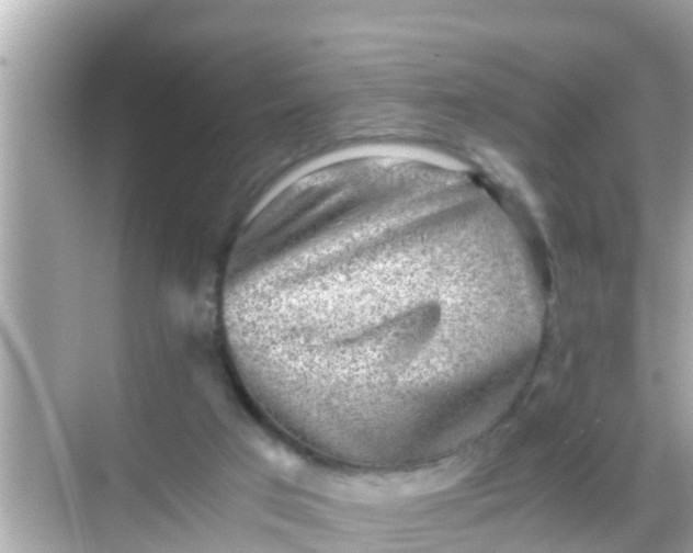 X0000068300017200605051945