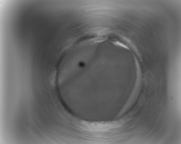 X0000068300018200605051945